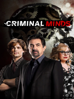 Esprits criminels streaming Esprits criminels streaming