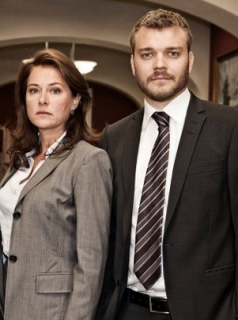 Borgen, une femme au pouvoir streaming Borgen, une femme au pouvoir streaming