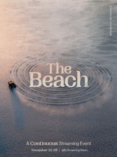 The Beach streaming
