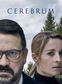 Cerebrum streaming