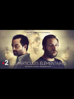LES PARTICULES ÉLÉMENTAIRES 2022
