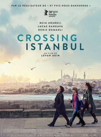 Crossing Istanbul